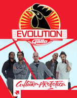 Gallo Evolution Pana 2015 Cultura Profética