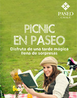 Picnic en Paseo